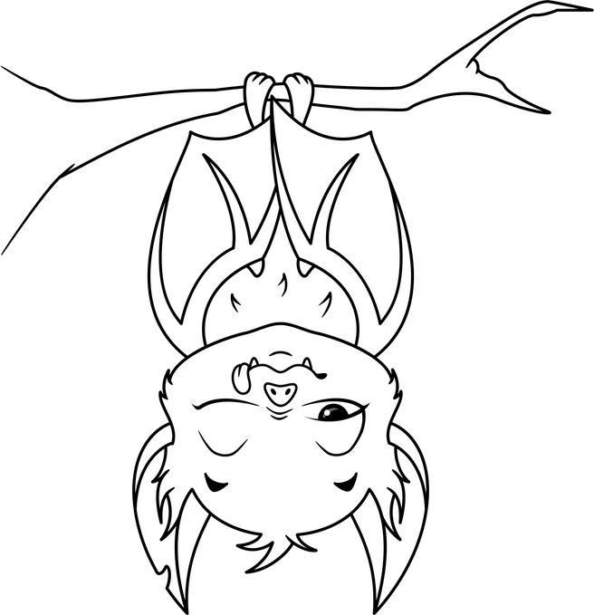 Cartoon Sleeping Bat on Branch Coloring Page